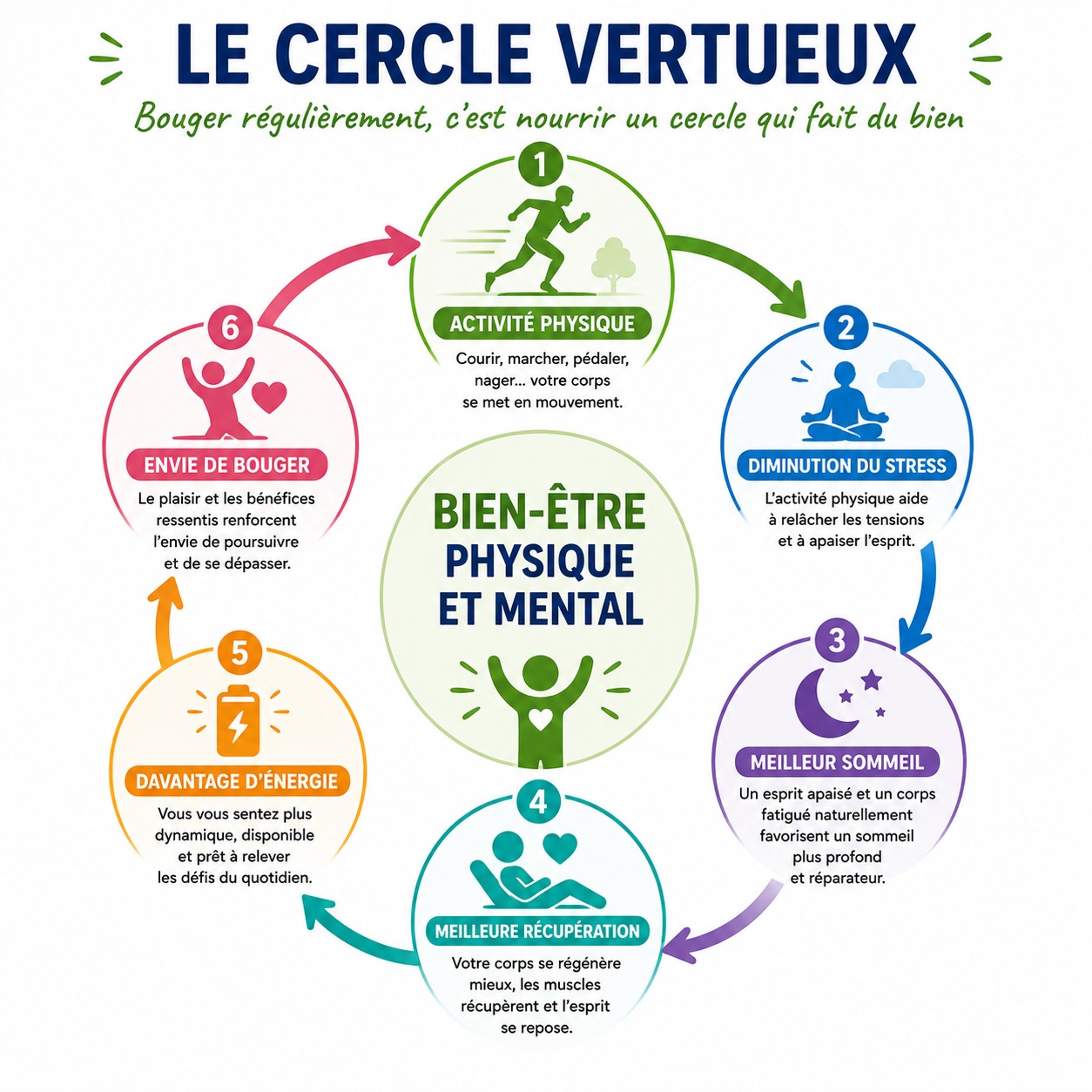 Cercle vertueux entre activité physique, sommeil, récupération et énergie
