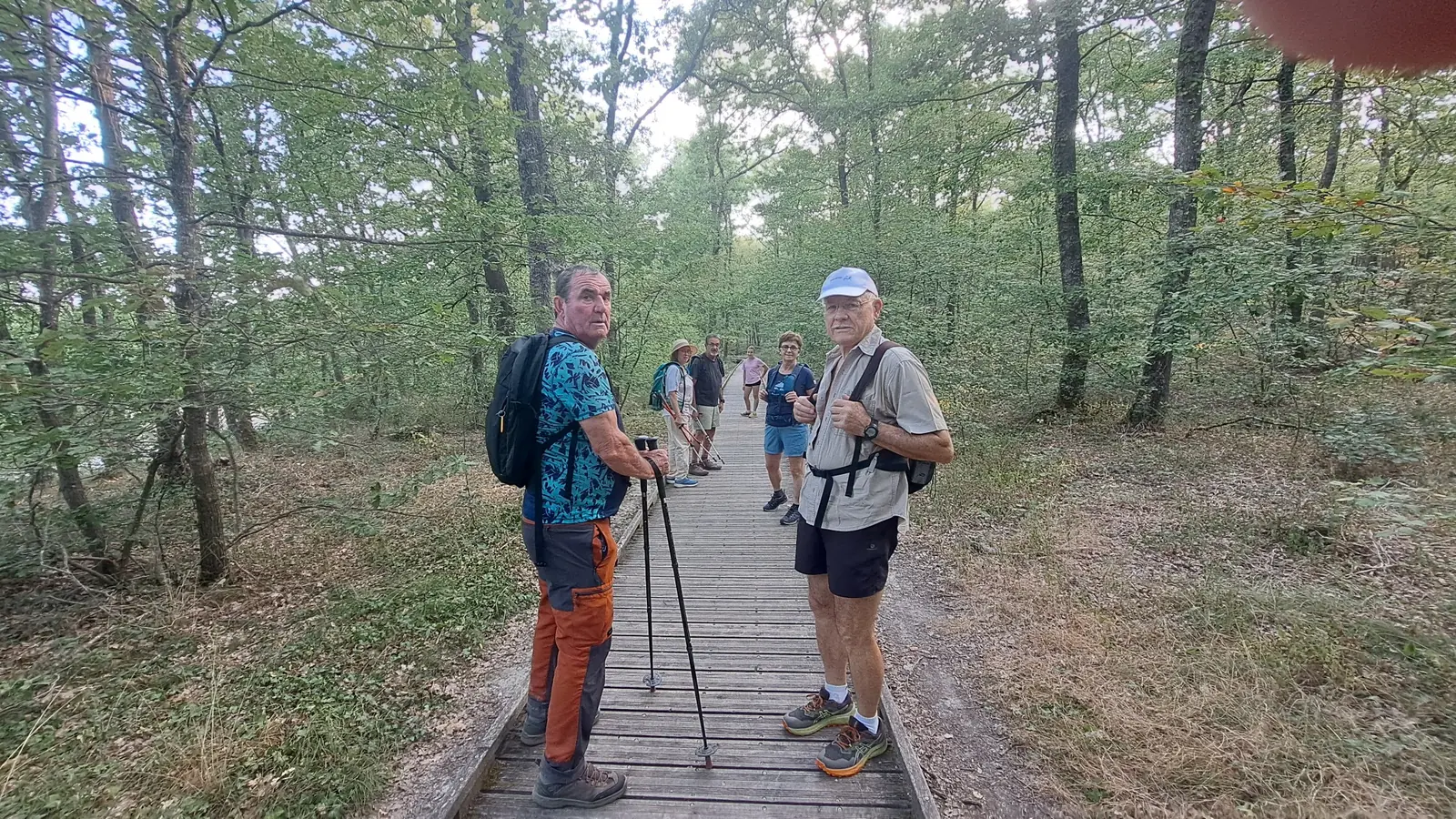 Les randonneurs de l’ACFA au départ dans la forêt de Buzet