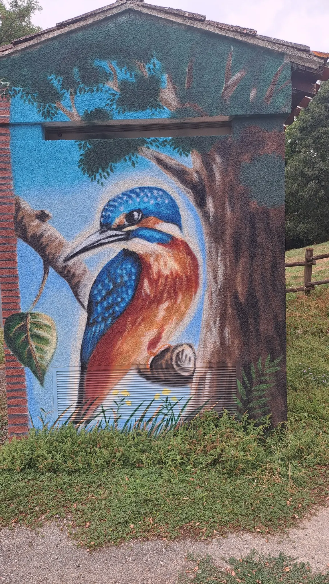 Fresque représentant un martin-pêcheur croisée au départ de la randonnée