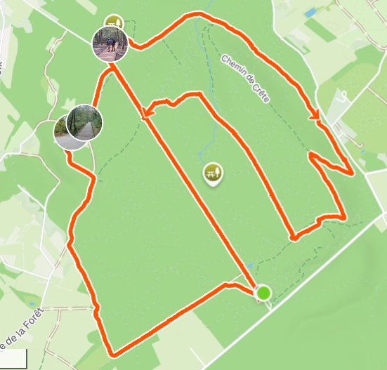 Trace de randonnée formant une paire de poumons dans la forêt de Buzet