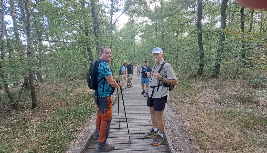 Randonneurs de l’ACFA sur une plateforme en bois dans la forêt de Buzet