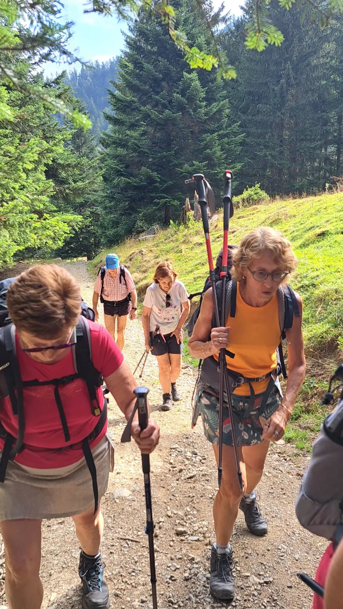 Adhérents de l’ACFA montant sur un sentier forestier avec leurs bâtons de randonnée