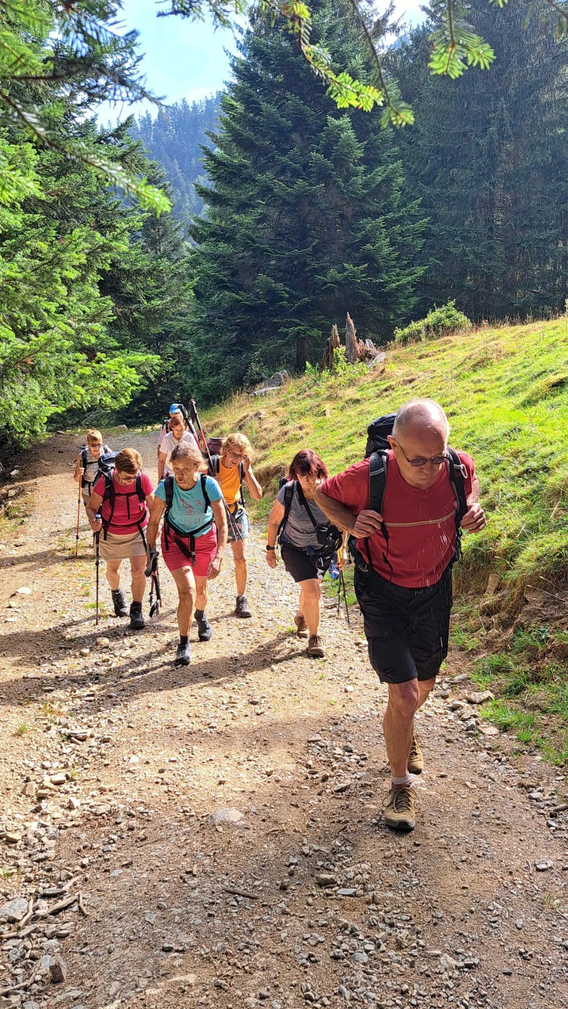 Randonneurs de l’ACFA progressant sur un chemin en pente et caillouteux en montagne